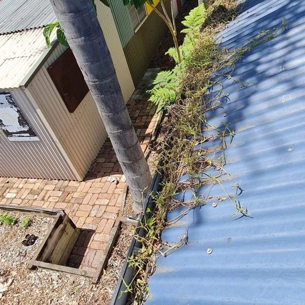 Gutter Cleaning - Roof Inspection in Logan