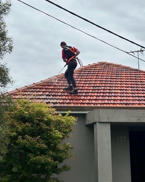 Tile Roof Cleaning - Surface Preparation in Logan