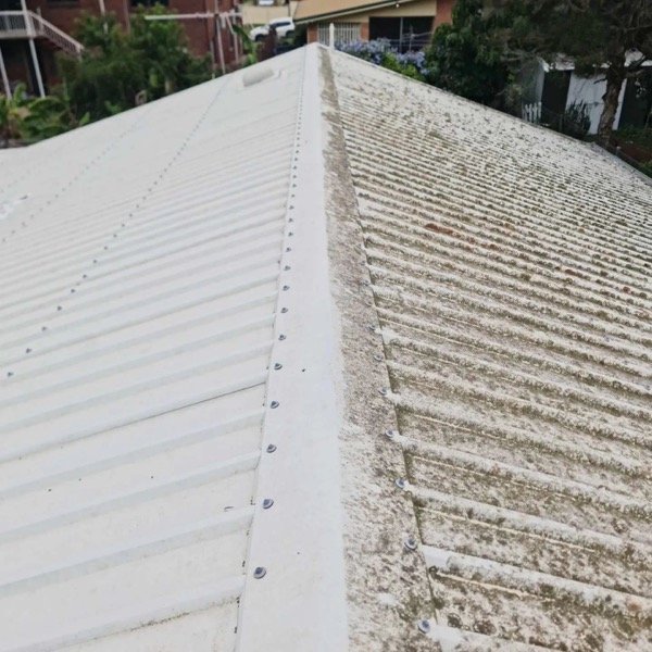 Metal Roof Cleaning - Professional Service in Logan