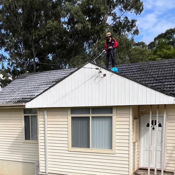 Tile Roof Cleaning - Roof Inspection in Logan
