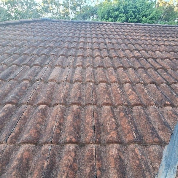 Tile Roof Cleaning - Professional Service in Logan